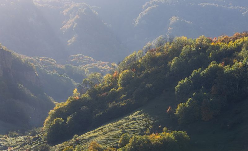 свет, лес, осень, кавказ Трепет осени фото превью