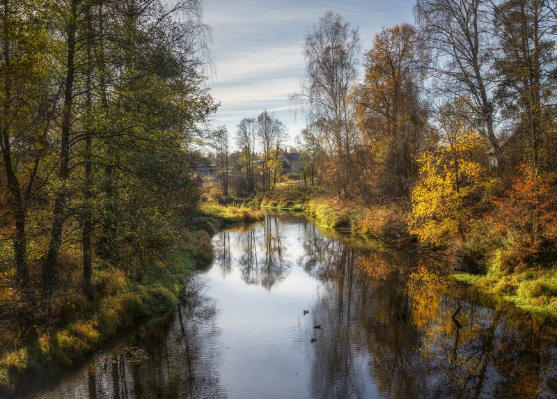 осень река деревья небо Осень в деревне Успенье фото превью