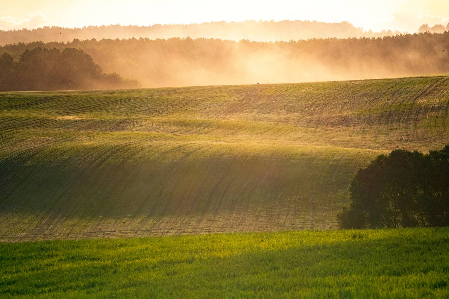, Dzmitry Hurynovich