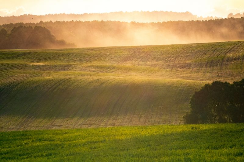 Гродненские горки фото превью