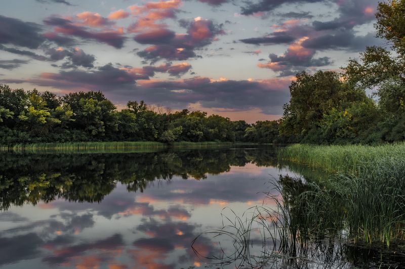 пейзаж,озеро,природа,закат На озере фото превью