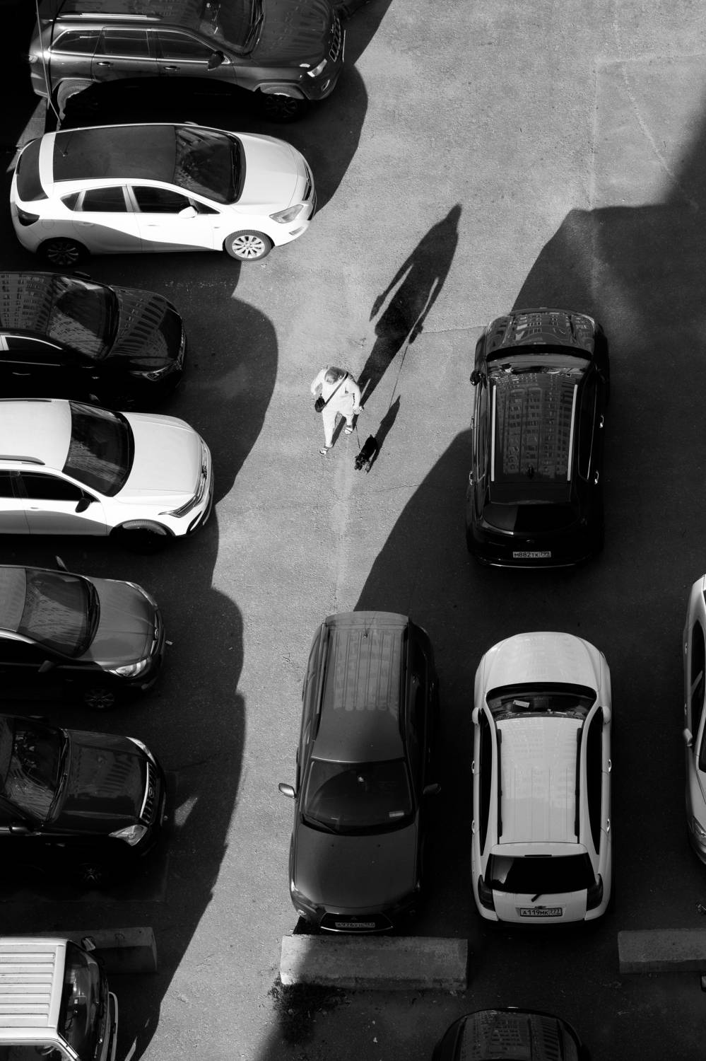 , Алексей Федотов