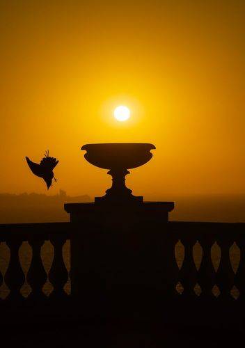 Свержение тёмного князя.