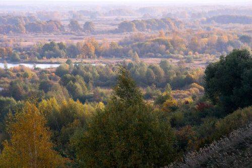 Клязьминские просторы применяют осенний наряд