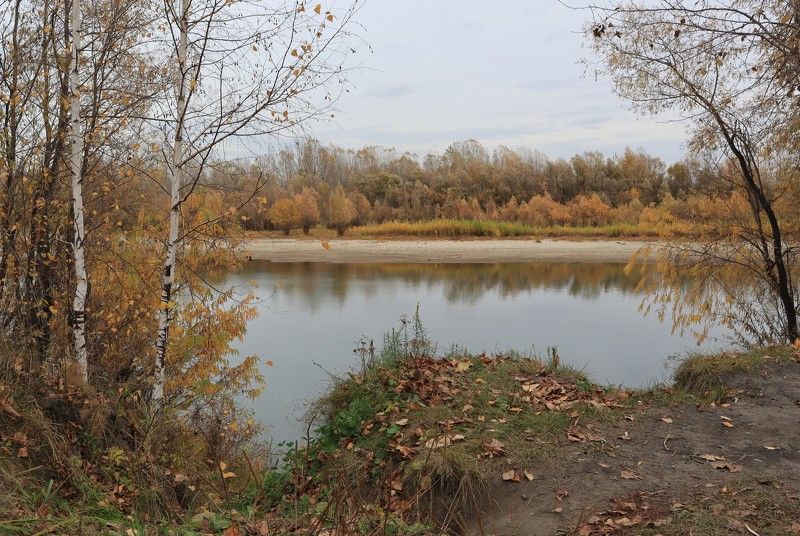 Осенью у реки фото превью