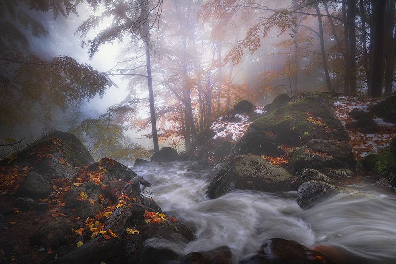 Autumn refrain