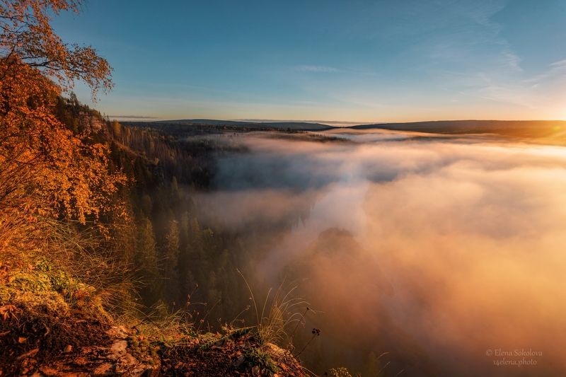 усьва, лес, утро, туман, пейзаж, природа, осень Усьвинские столбы на рассвете фото превью