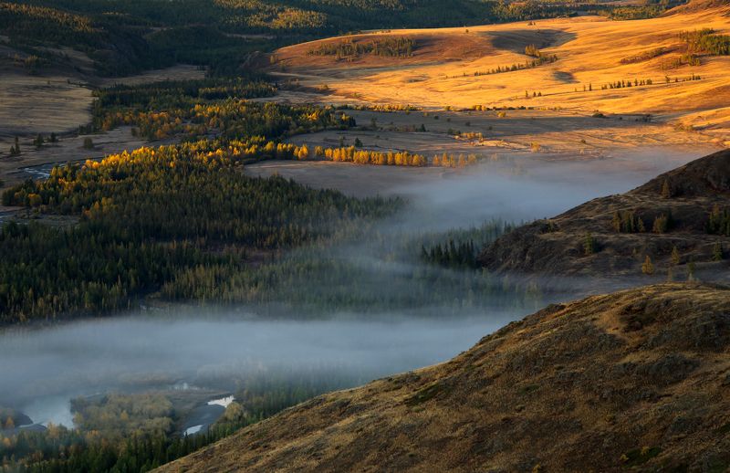 Алтай, Горный Алтай, Курайская степь Утро в Курайской степи фото превью