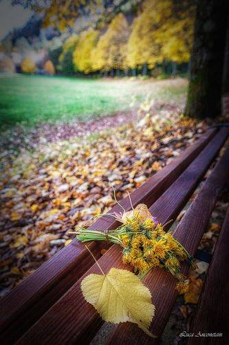 Autumn is back