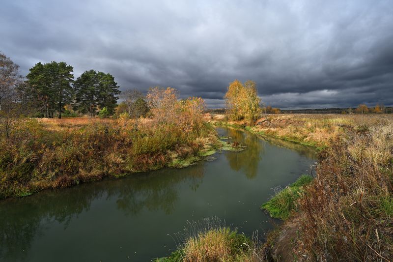 осень, река, берег, берёзы, отражение, небо, тучи, свет хмурая осень фото превью