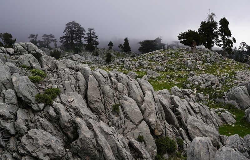 Lycian Trail фото превью