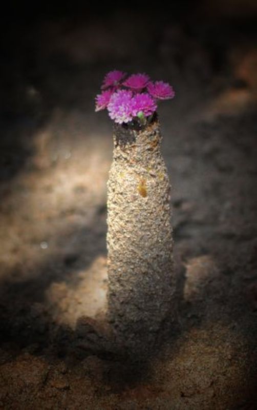 “The war will end, the leaders will shake hands, that old woman will still wait for her martyr son, that girl will wait for her beloved husband, and these children will wait for their heroic father. I don\'t know who sold the country! But I saw----who paid фото превью