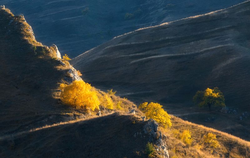 свет пейзаж вечер горы деревья солнце Освещенные солнцем фото превью