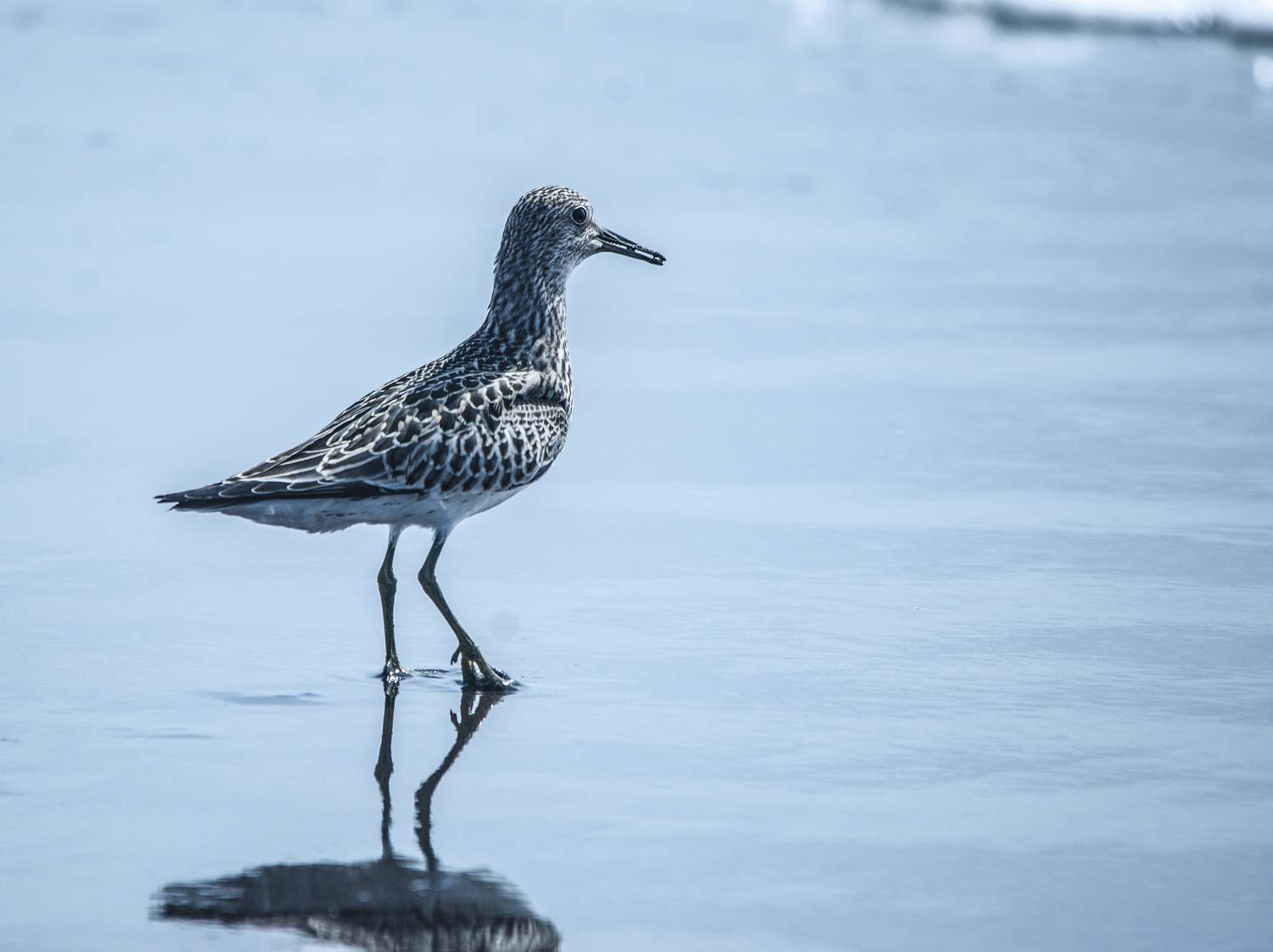 , Ольга Лукахина