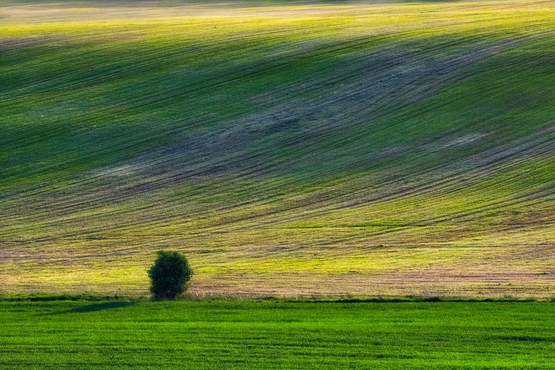 Гродненские горки фото превью