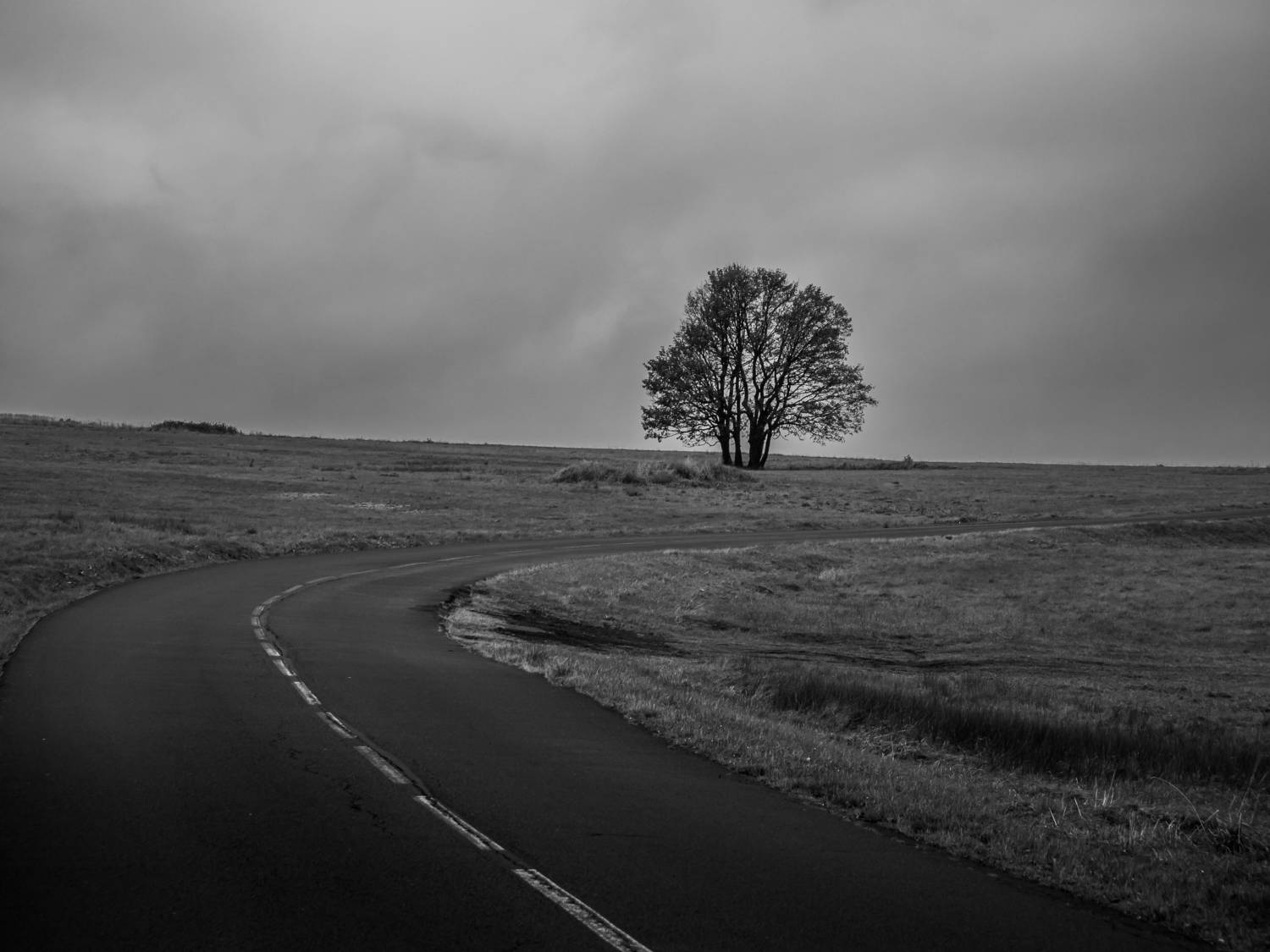 solitare,tranqility,tree,blackandwhite,czechia,minimalist,atmosphere,melancholic, Slavom&iacute;r Gajdo&scaron;