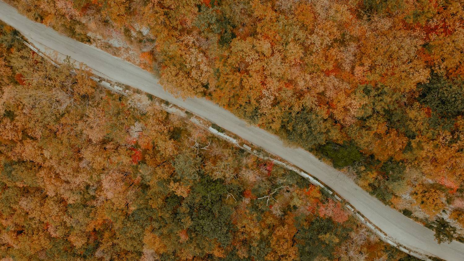 россия, крым, ай-петри, осень, желтые деревья, Юрий Гаврилов