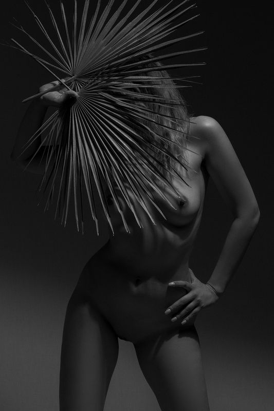 2024 фото превью