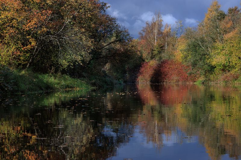 осень золото листва река вода отражение солнце желтизна Краски осени фото превью
