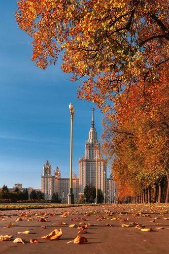 МГУ
