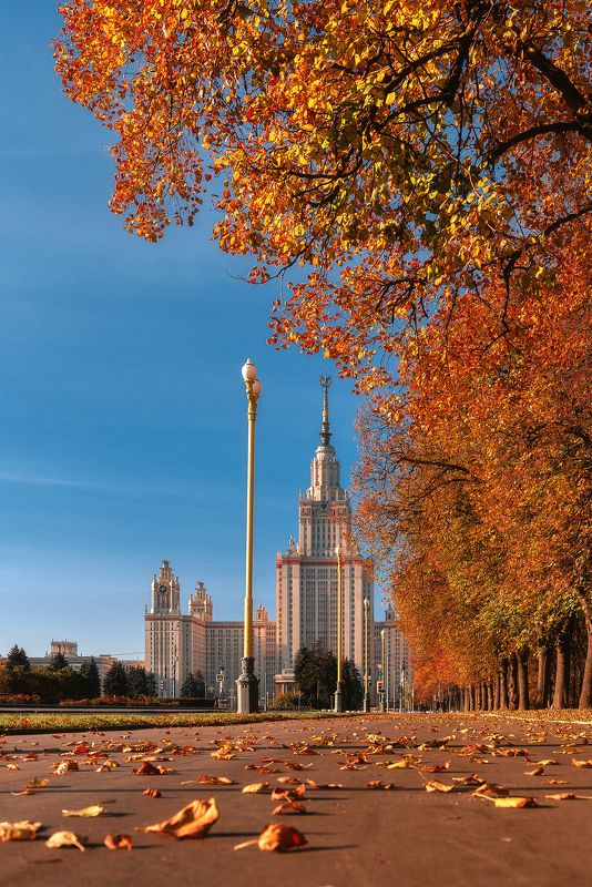 могу, осень МГУ фото превью