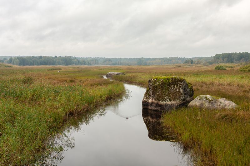 где-то в Карельском перешейке фото превью