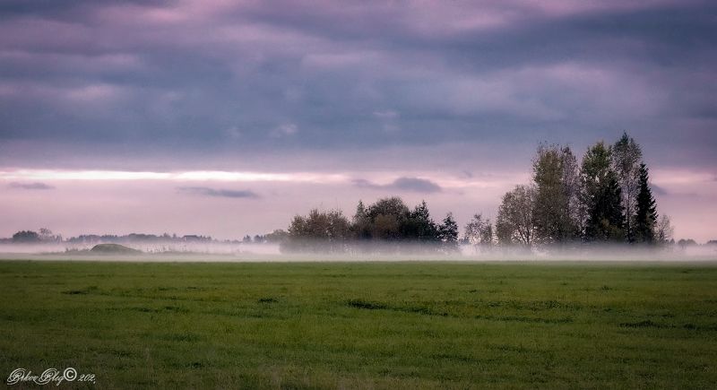 В Розовом тумане.. фото превью