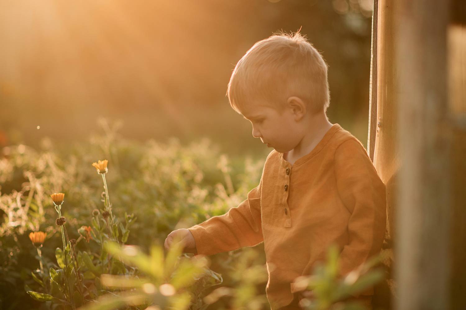 , Романова Валерия