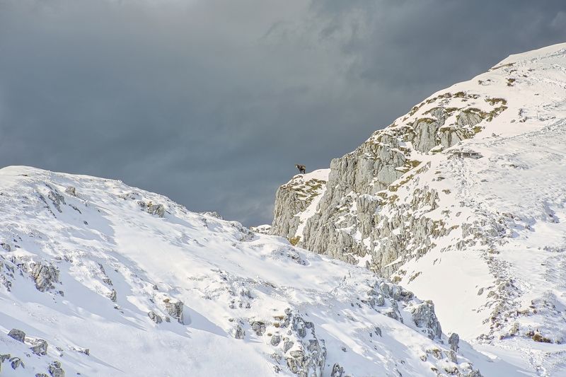Альпы фото превью