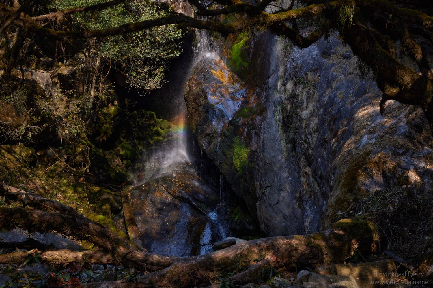 пейзажемагьё, пейзаж-как-виденье, Коваль Дмитр