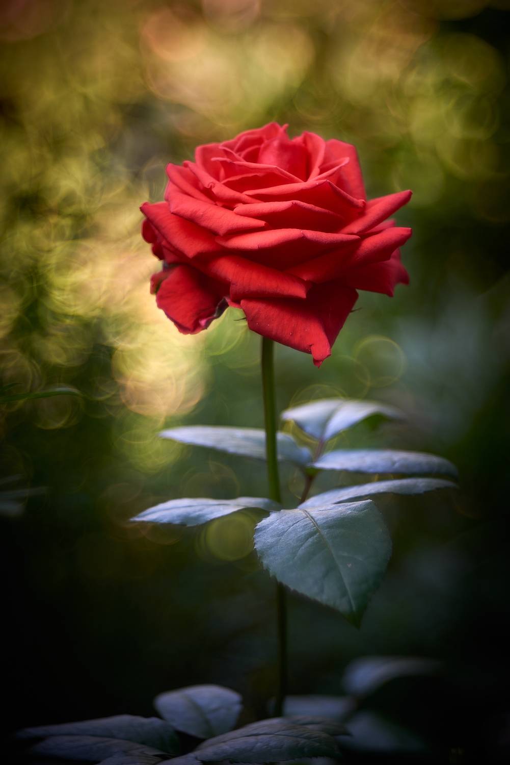 , Владислав Храмцов