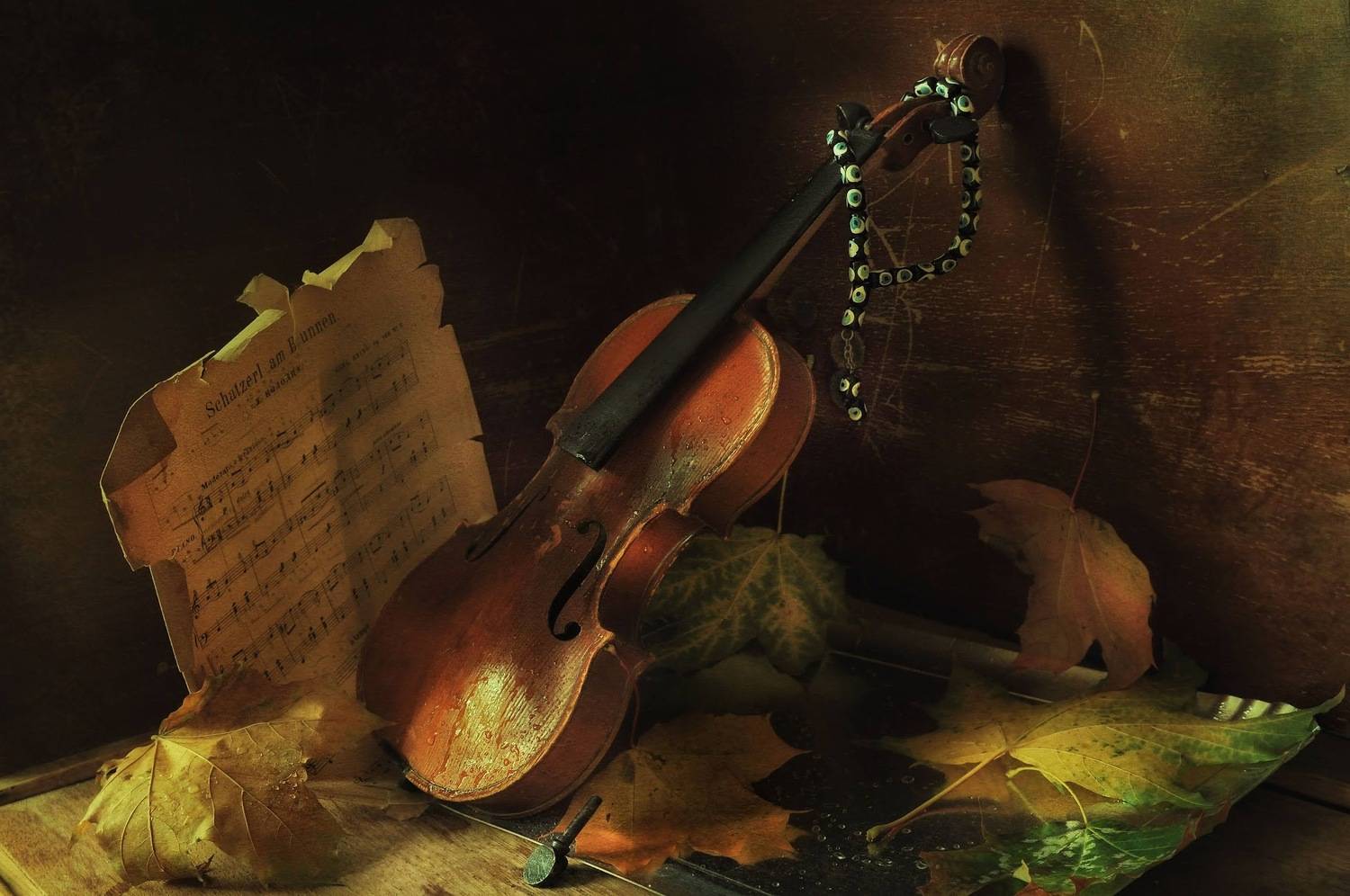 , Ирина Данилова