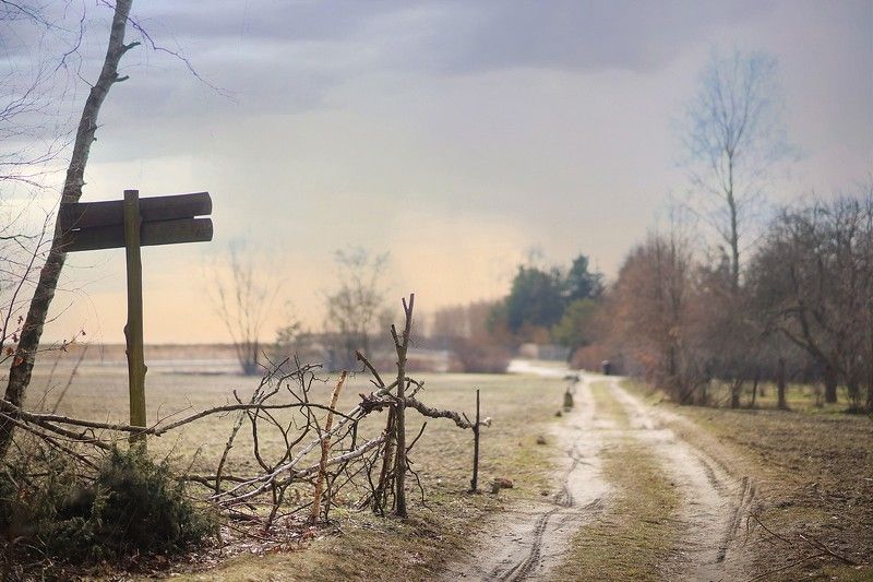 Дорога фото превью