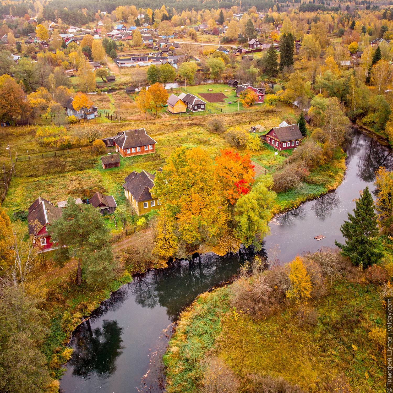 валдай, Шутов Тимофей