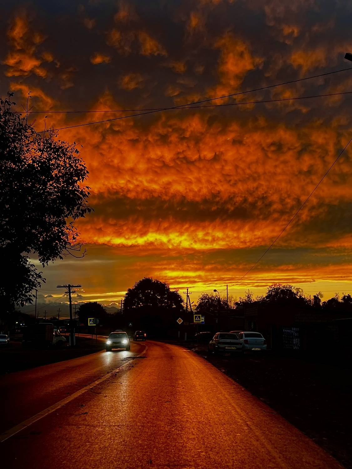 , Табуев Батраз