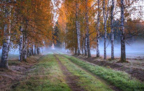 Осенняя аллея