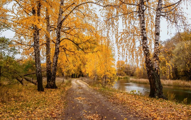 Вдоль реки по осени. фото превью