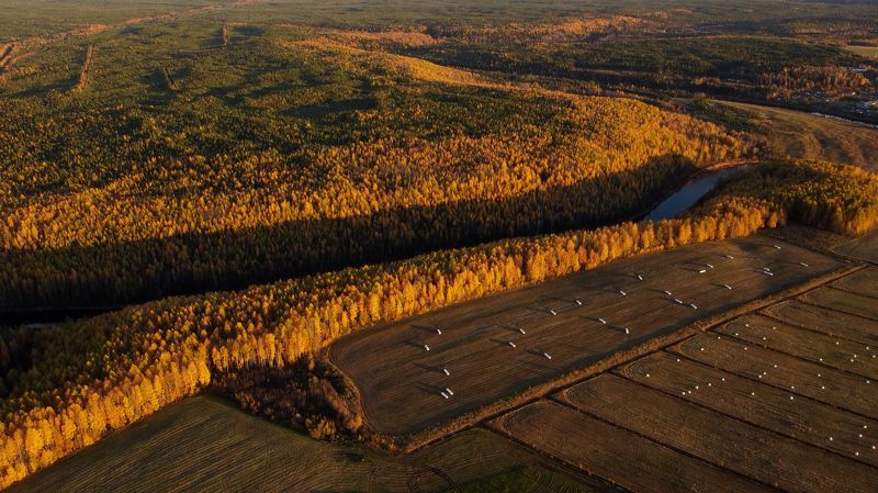 *** фото превью