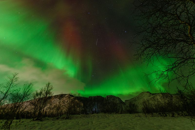 Аврора фото превью