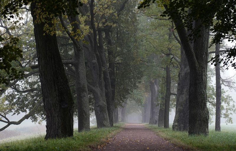 Morning in early October фото превью