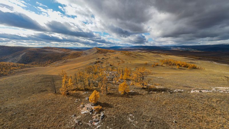 Тажераны фото превью