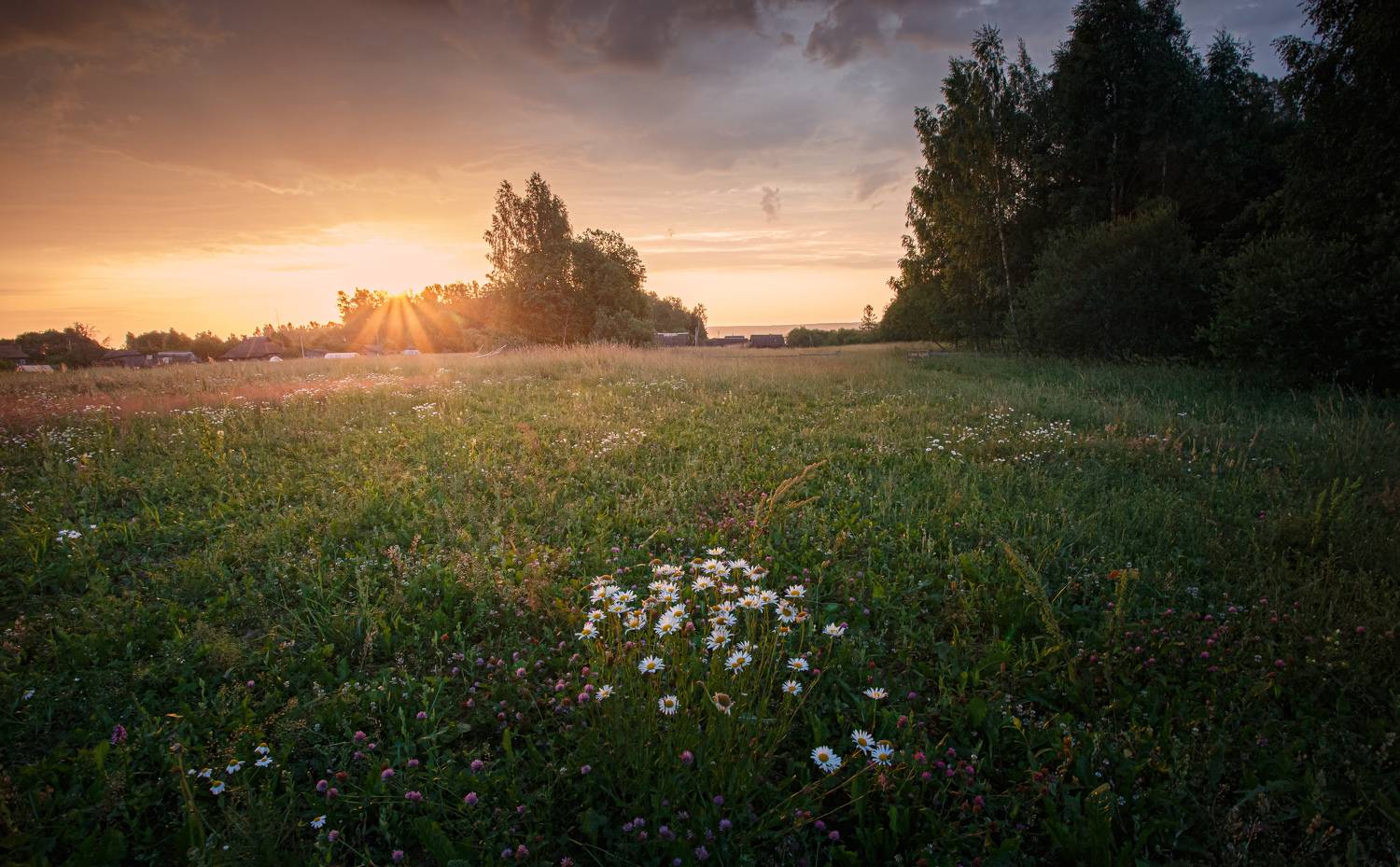, Зеленько Дмитрий