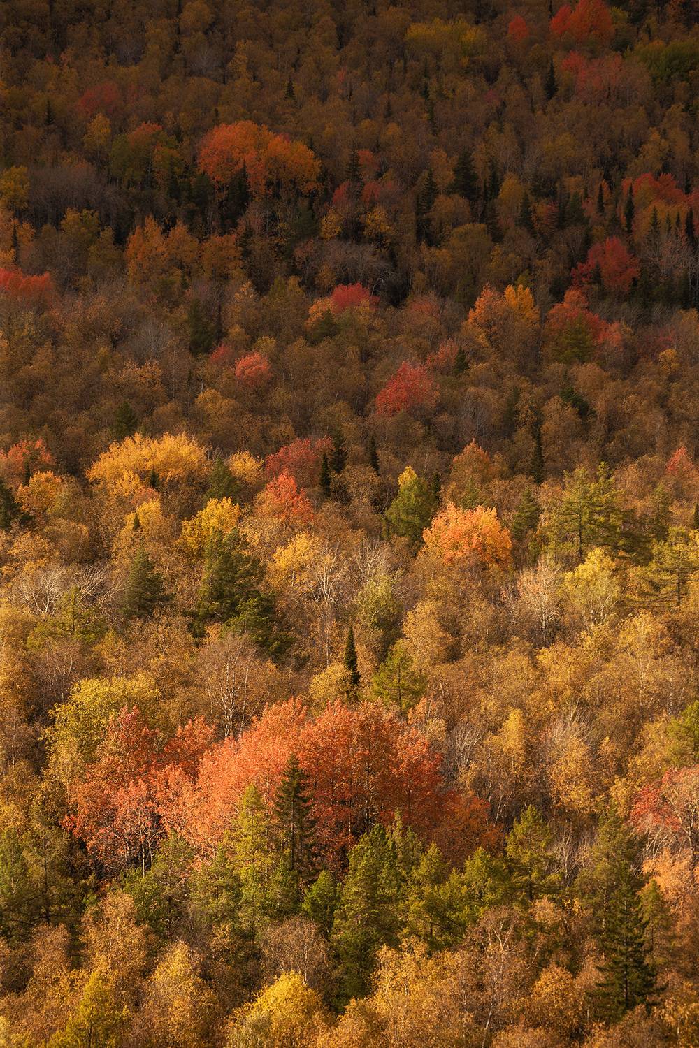Урал, Сергей Гарифуллин