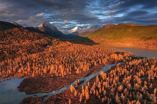 Солнечные ванны...