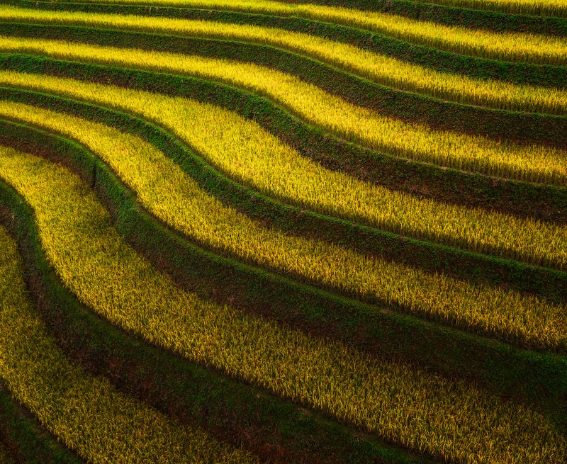 Endless green фото превью