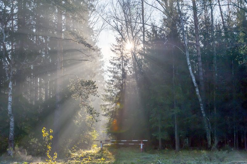 Солнечное утро октября фото превью