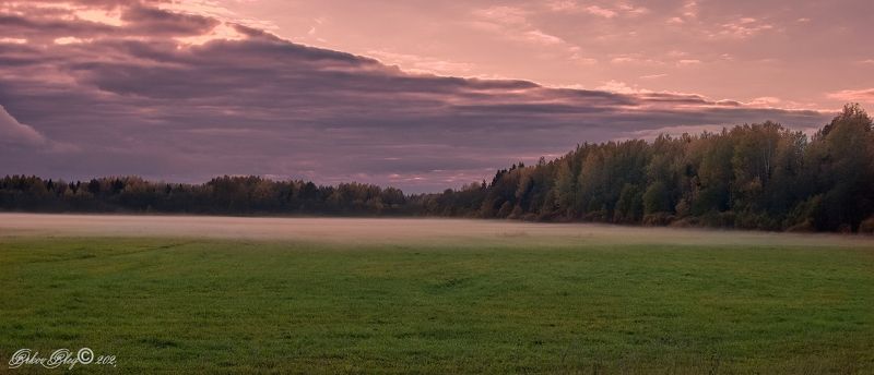 Тишина.... фото превью