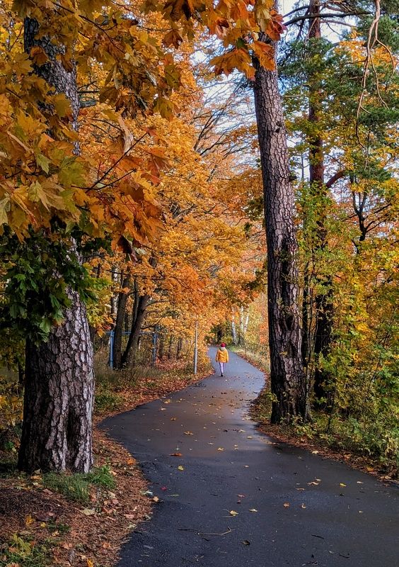 Осень на заливе фото превью