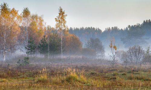 Нежные лучи октябрьского утра.
