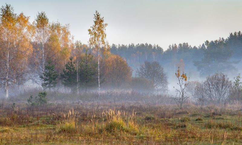 Нежные лучи октябрьского утра. фото превью